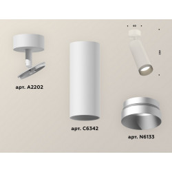 Комплект накладного поворотного светильника Ambrella Light XM6342004