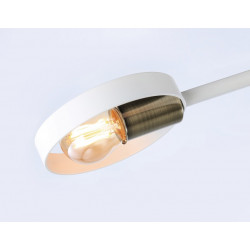 Подвесной светильник со сменной лампой Ambrella Light TR8222