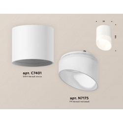 Комплект накладного светильника с акрилом Ambrella Light XS7401046