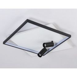 Настенно-потолочный светодиодный светильник с пультом Ambrella Light FL5138