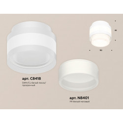 Комплект накладного светильника с акрилом Ambrella Light XS8418001