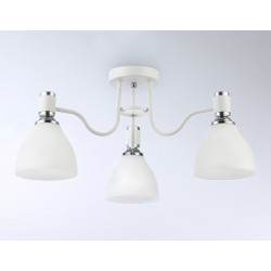 Потолочный светильник Ambrella Light TR303302