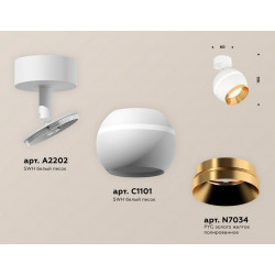 Комплект поворотного светильника с дополнительной подсветкой Ambrella Light XM1101004
