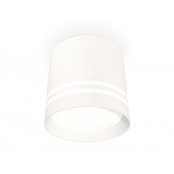 Комплект накладного светильника с акрилом Ambrella Light XS8110007