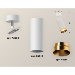 Комплект накладного поворотного светильника Ambrella Light XM6342005