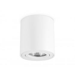 Накладной точечный поворотный светильник Ambrella Light TN22701