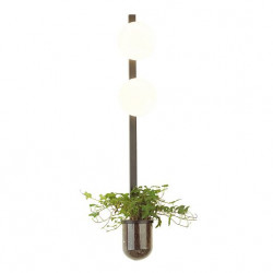 Настенный светильник ODEON LIGHT FLOWER 4681/2WA