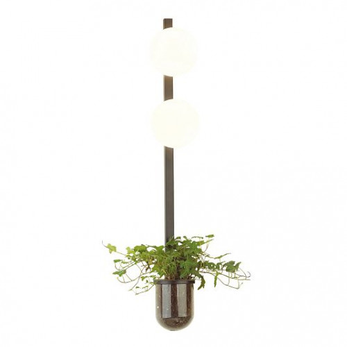 Настенный светильник ODEON LIGHT FLOWER 4681/2WA Настенный светильник ODEON LIGHT FLOWER 4681/2WA