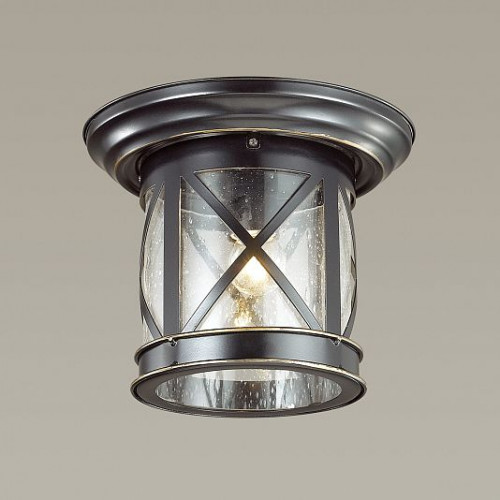 Уличный потолочный светильник ODEON LIGHT SATION 4045/1C Уличный потолочный светильник ODEON LIGHT SATION 4045/1C