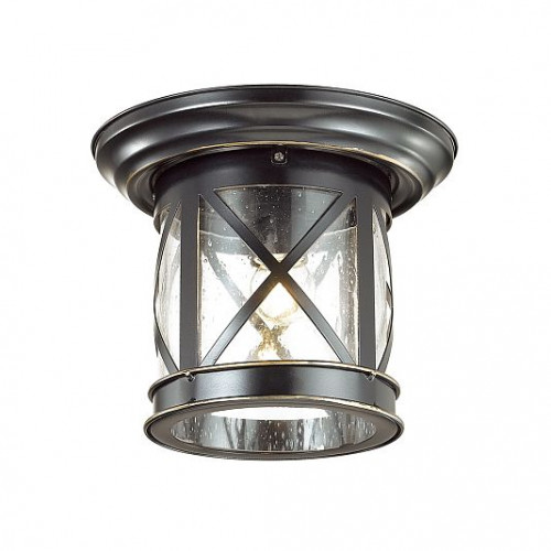 Уличный потолочный светильник ODEON LIGHT SATION 4045/1C Уличный потолочный светильник ODEON LIGHT SATION 4045/1C