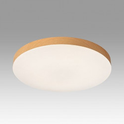 Потолочный светильник СОНЕКС (Sonex) GAMMA 7761/50L
