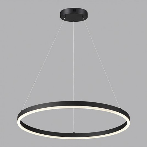 Светильник подвесной LUMION ECHO 6530/50L Светильник подвесной LUMION ECHO 6530/50L