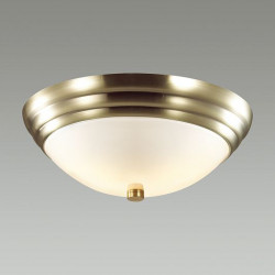Настенно-потолочный светильник LUMION KAYLA 5262/2C