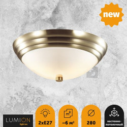 Настенно-потолочный светильник LUMION KAYLA 5262/2C