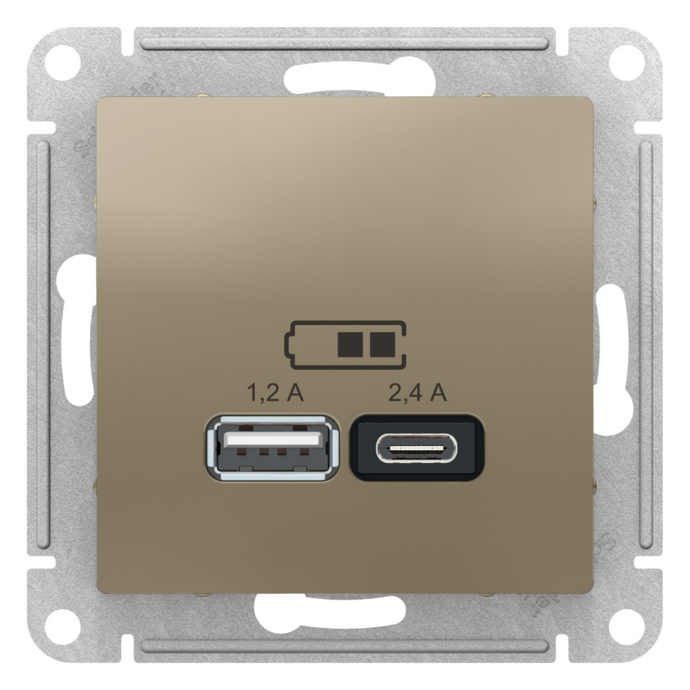 ATN000539 - USB розетка A+С 5В/24А 2х5В/12А шампань