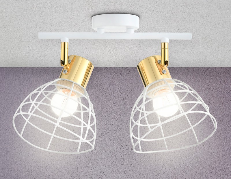 Настенно-потолочный спот в стиле лофт Ambrella Light TR8601