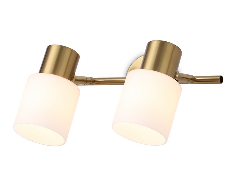 Настенно-потолочный спот Ambrella Light TR3969