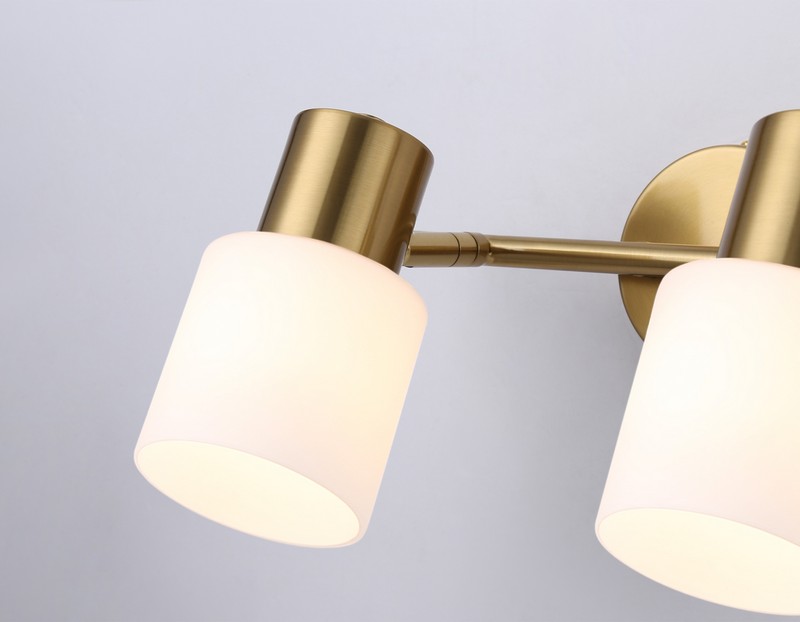 Настенно-потолочный спот Ambrella Light TR3969