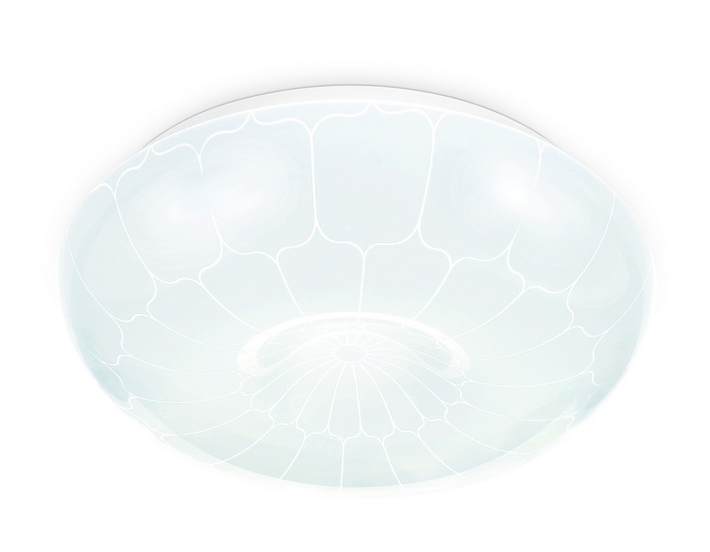 Потолочный светодиодный светильник Ambrella Light FZ1088