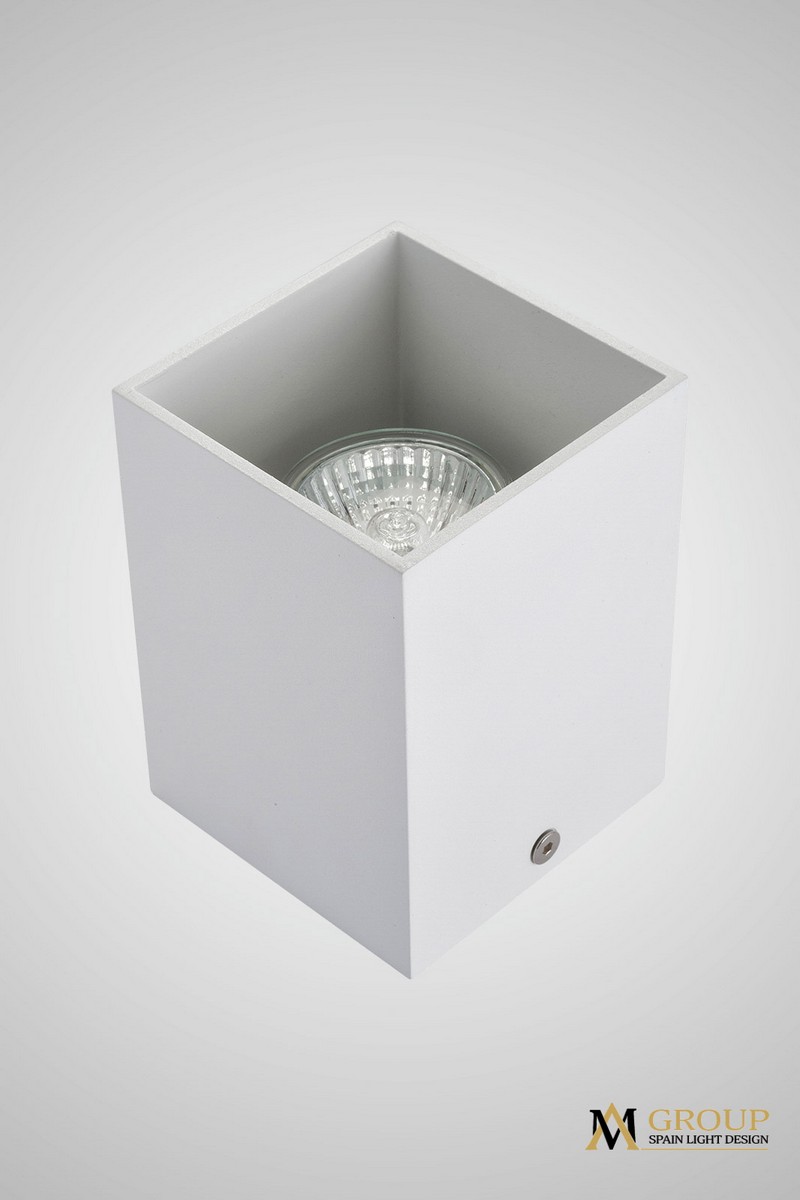 Потолочный накладной светильник белый AM Group AM01-110 WH