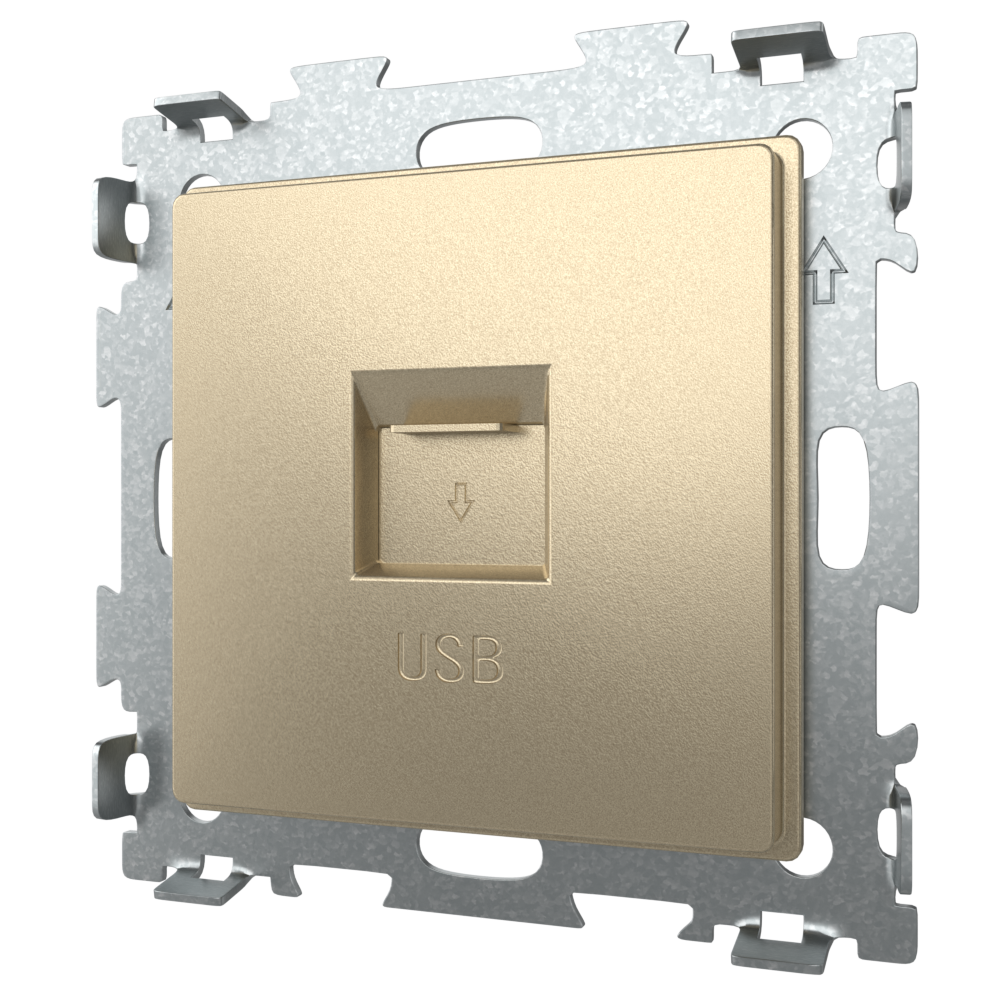 Розетка USB 2.1А цвет Шампань CGSS GL-W201U-BGG