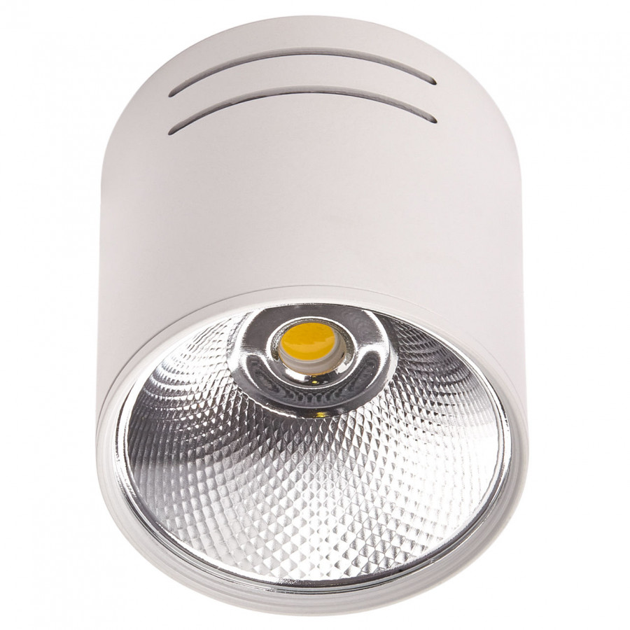Светильник LED 1*10W потолочный спот Белый IL.0005.4015 IMEX