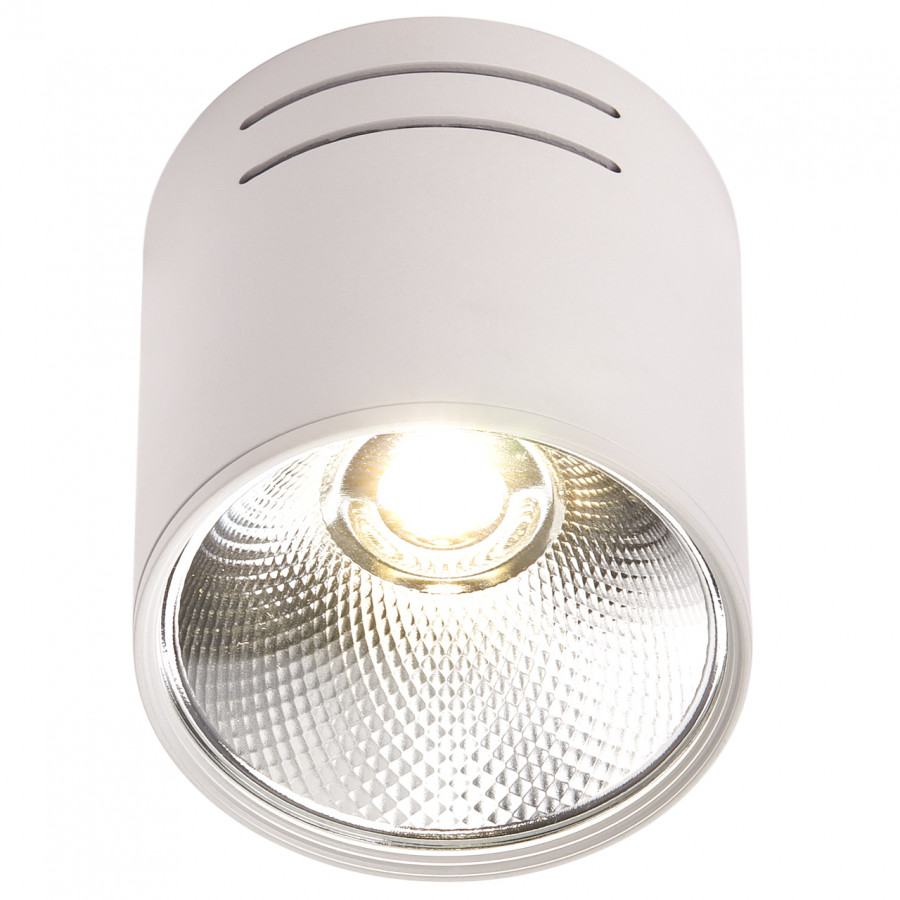 Светильник LED 1*10W потолочный спот Белый IL.0005.4015 IMEX