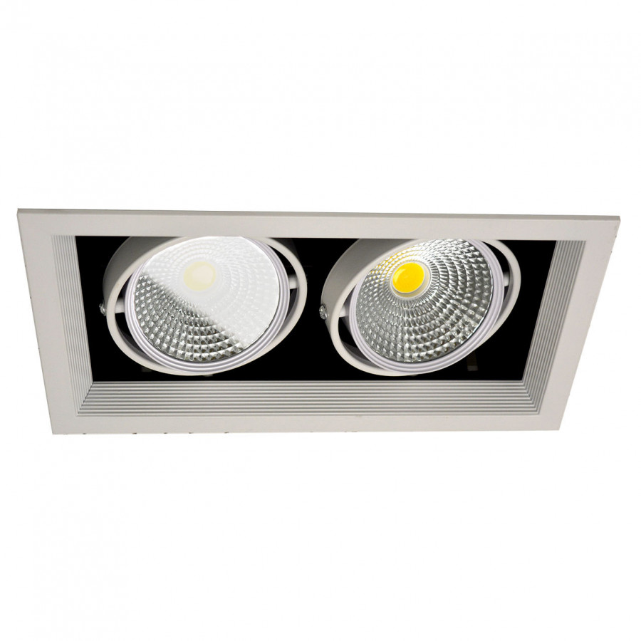 Светильник карданный LED 2*20W встраиваемый, WH IL.0006.2215 IMEX
