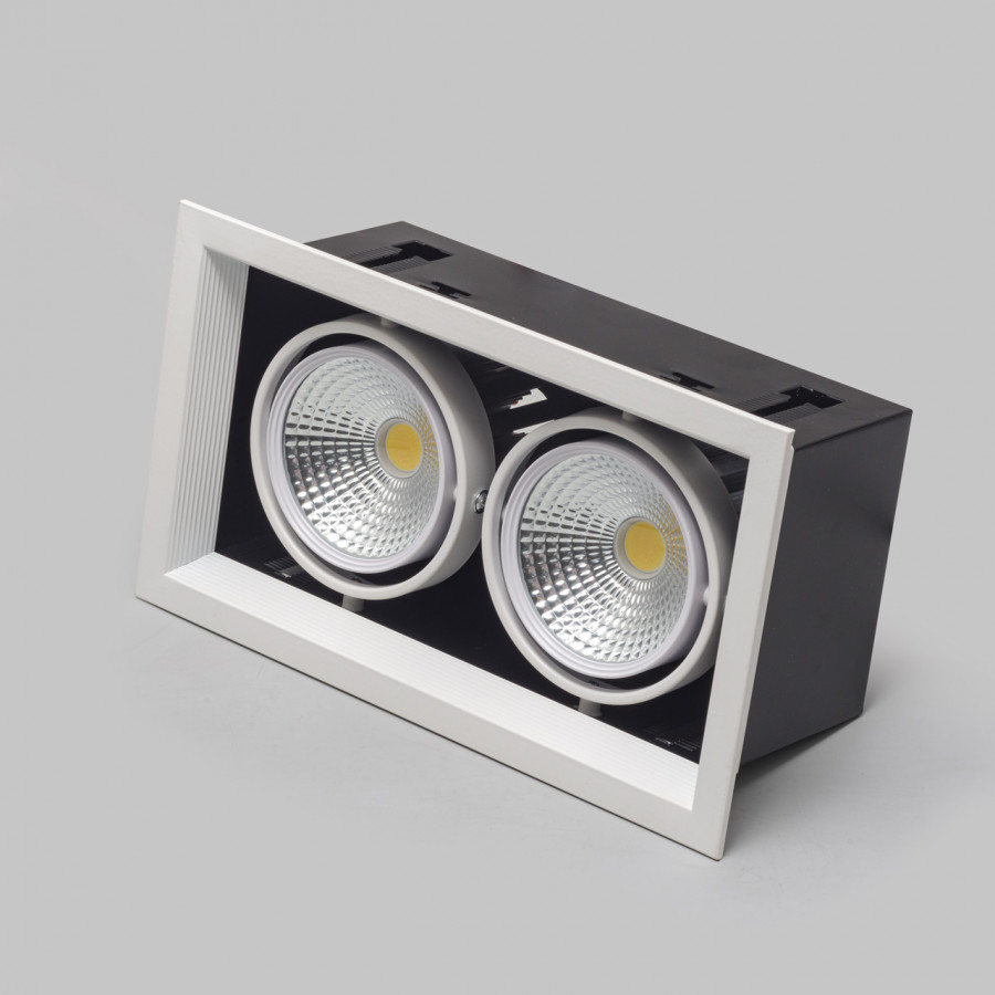 Светильник карданный LED 2*20W встраиваемый, WH IL.0006.2215 IMEX