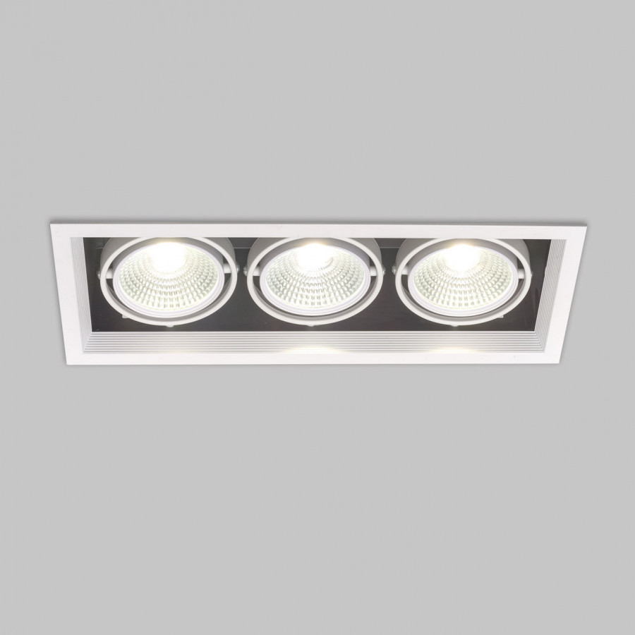 Светильник карданный LED 3*20W встраиваемый, WH IL.0006.2315 IMEX