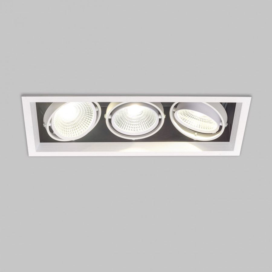 Светильник карданный LED 3*20W встраиваемый, WH IL.0006.2315 IMEX