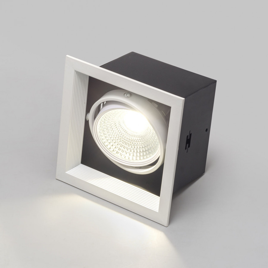 Светильник карданный LED 1*20W встраиваемый, WH IL.0006.2115 IMEX