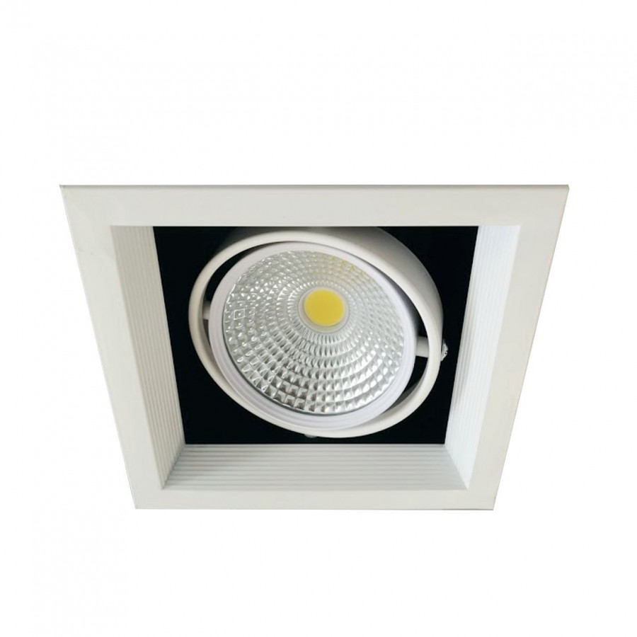 Светильник карданный LED 1*20W встраиваемый, WH IL.0006.2115 IMEX