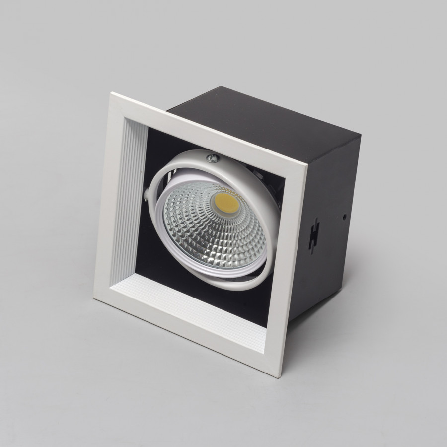 Светильник карданный LED 1*20W встраиваемый, WH IL.0006.2115 IMEX