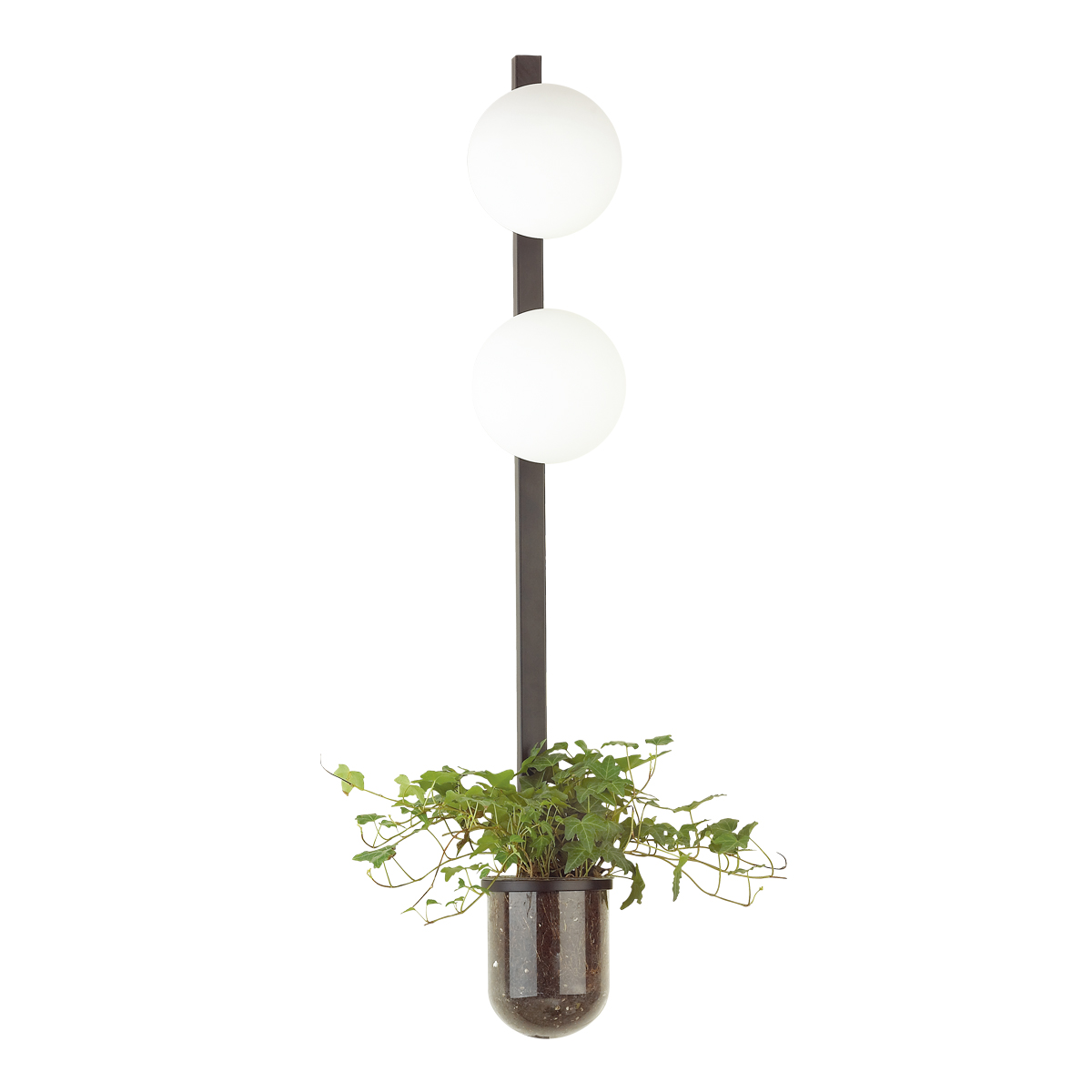 Настенный светильник ODEON LIGHT FLOWER 4681/2WA