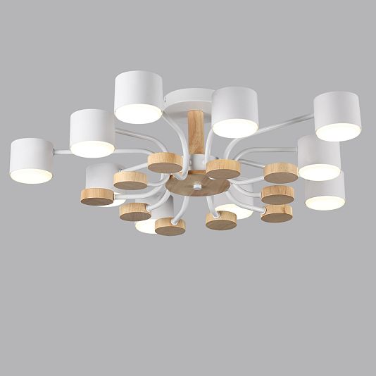 Потолочный светильник LUMION RONDO 8196/10C