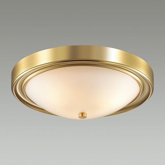 Настенно-потолочный светильник LUMION NINA 5259/3C
