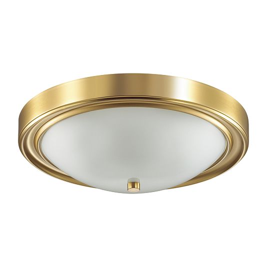 Настенно-потолочный светильник LUMION NINA 5259/3C