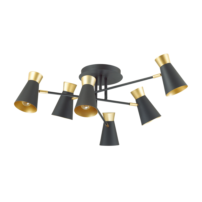 Люстра потолочная LUMION LIAM 3790/6C