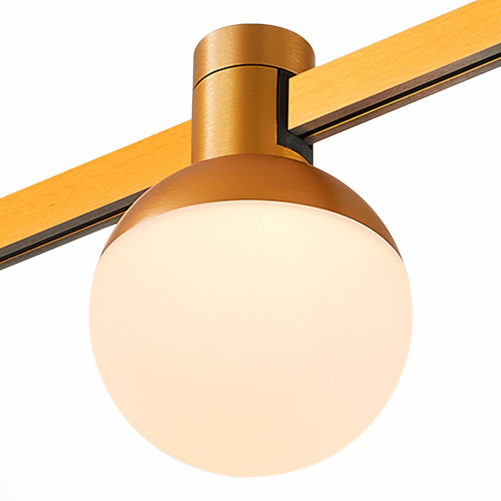 Светильник встраиваемый трековый FARM ST LUCE ST815.246.05