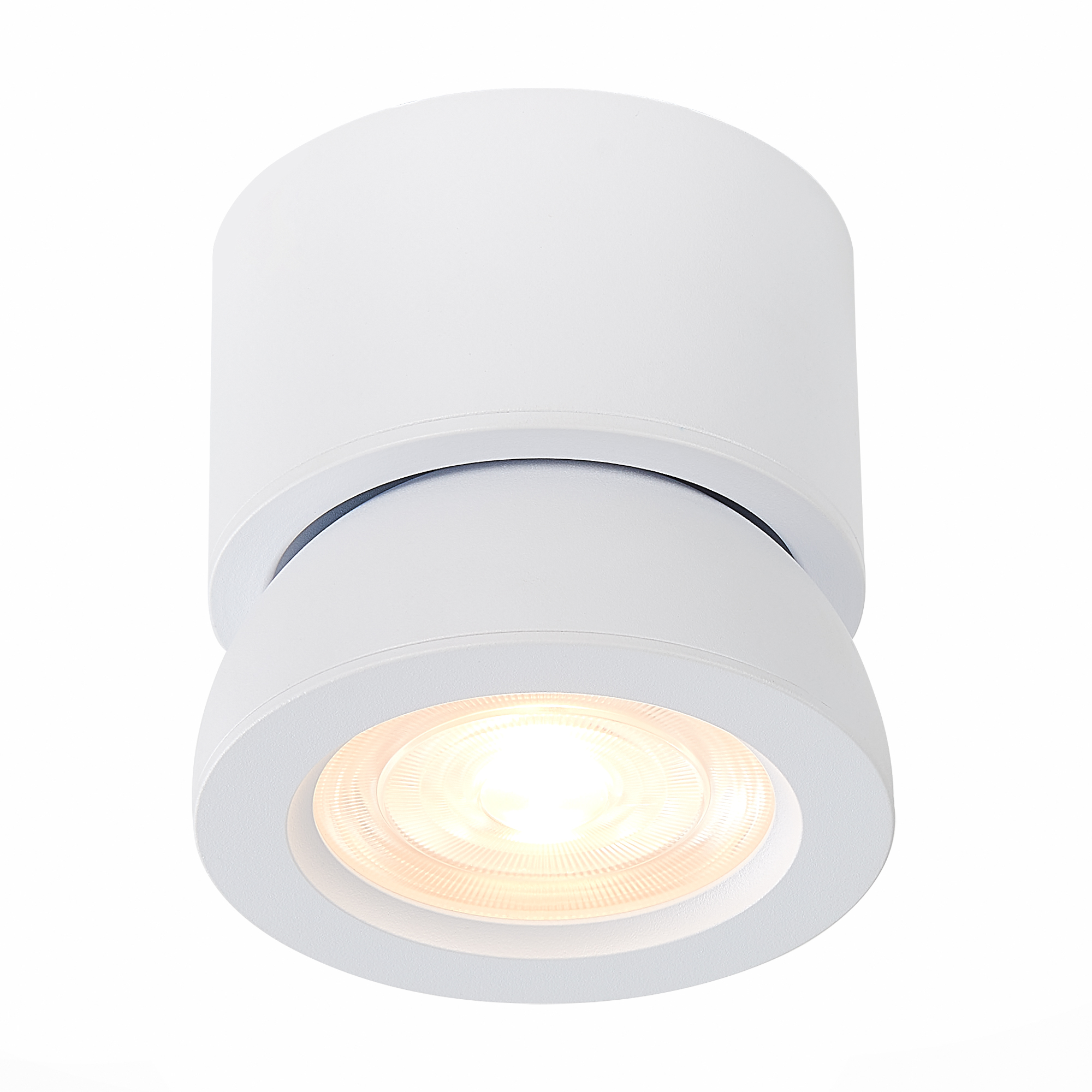 Светильник накладной светодиодный Накладные светильники ST LUCE ST654.542.10