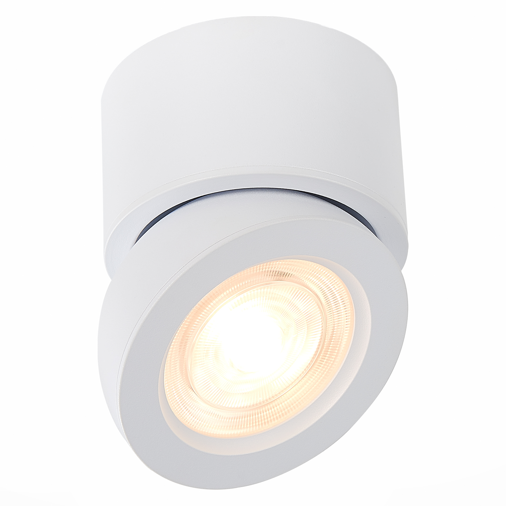 Светильник накладной светодиодный Накладные светильники ST LUCE ST654.542.10