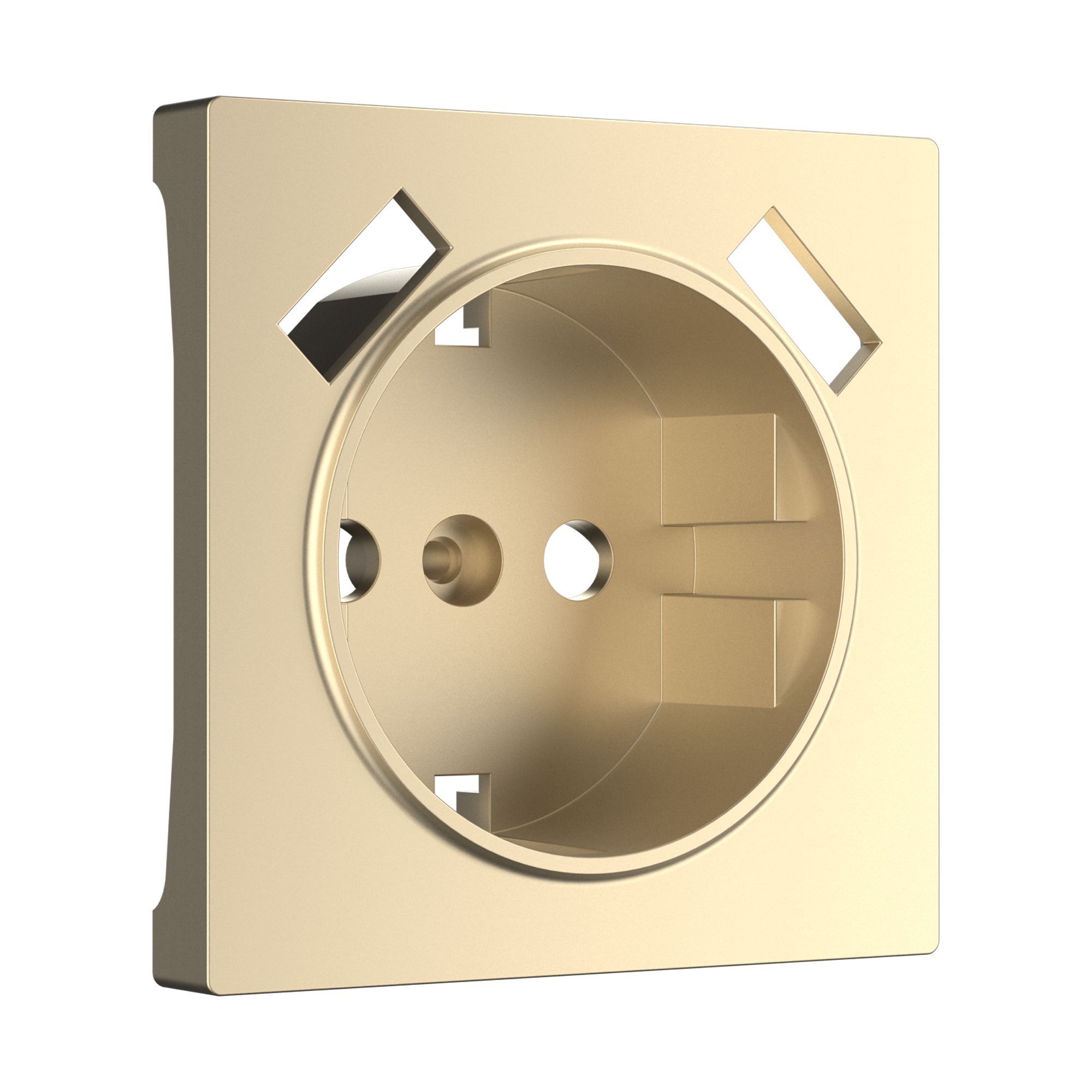 Накладка для USB розетки шампань W1179511 Werkel