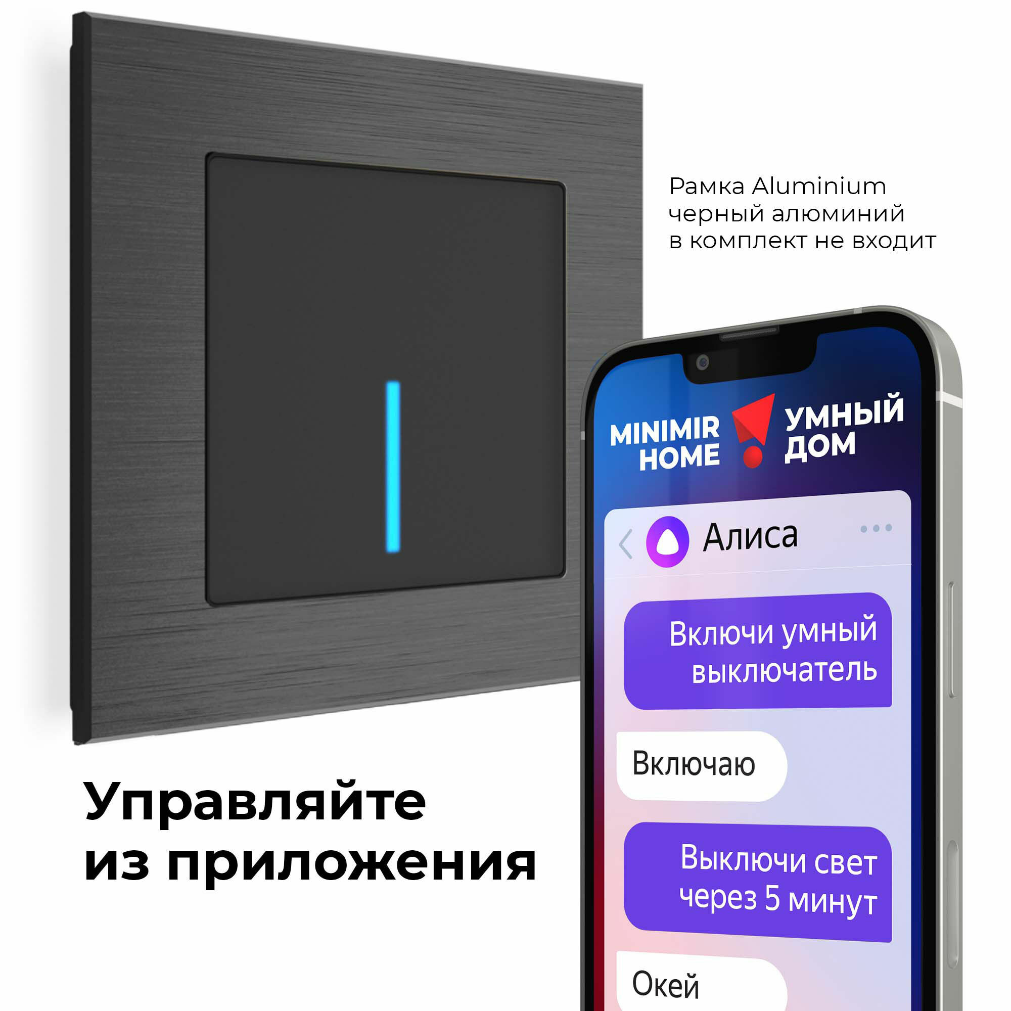 Умный сенсорный выключатель одноклавишный W4510608 Werkel Умный сенсорный выключатель одноклавишный W4510608 Werkel