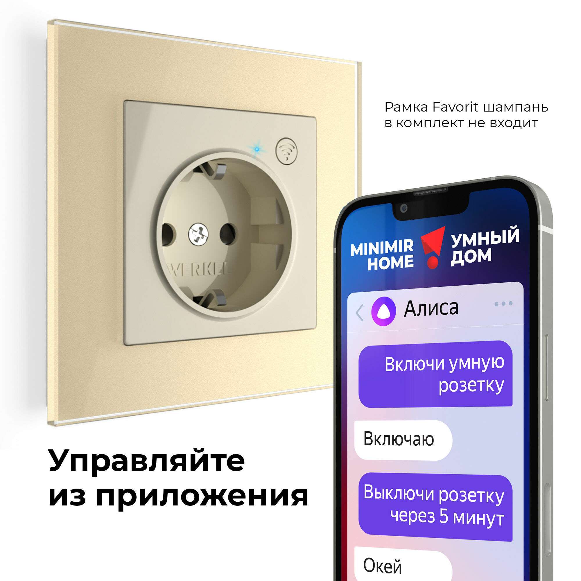 Умная встраиваемая розетка с заземлением с защитными шторками W1171603 Werkel Умная встраиваемая розетка с заземлением с защитными шторками W1171603 Werkel